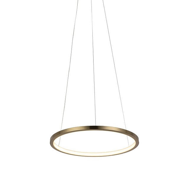 Подвесной светодиодный светильник Loft IT Ring 10014S изображение 2 Подвесной светодиодный светильник Loft IT Ring 10014S Фото № 2