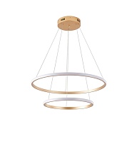 Подвесная светодиодная люстра Zortes RINGOLIGHT ZRS.33320.63C 5