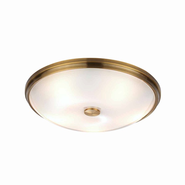 Потолочный светильник Odeon Light Walli Pelow 4956/5 Фото № 2