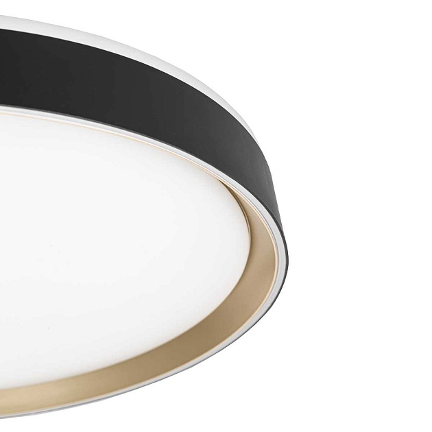 Потолочный светодиодный светильник Citilux Boss CL751451G Фото № 11