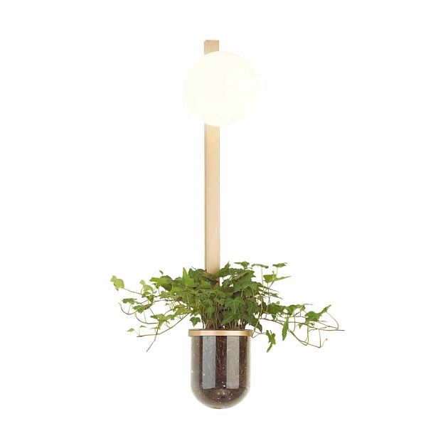 Настенный светильник Odeon Light Walli Flower 4682/1WB Фото № 2