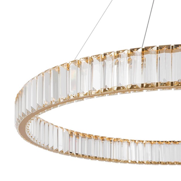 Подвесной светодиодный светильник Freya Tier FR5257PL-L32G Фото № 4