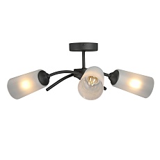 Потолочная люстра Vitaluce V2850-1/3PL 3