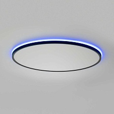 Потолочный светильник Citilux NORMA CL749601 4