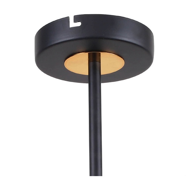 Потолочная люстра F-Promo Viator 2558-8P Фото № 3