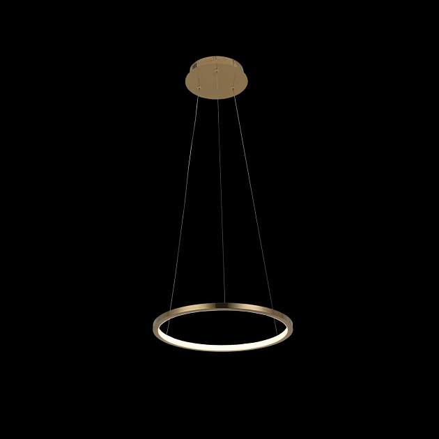 Подвесной светодиодный светильник Loft IT Ring 10014S изображение 4 Подвесной светодиодный светильник Loft IT Ring 10014S Фото № 4