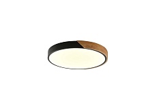 Потолочный светильник Zortes ALBERRO ZRS.01237.90 2