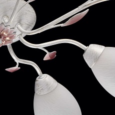 Потолочная люстра MW-Light Восторг 242016508 3