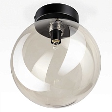 Светильник Citilux ORTON CL202511 1