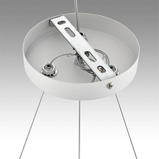 Подвесная люстра Lumion Comfi Luazana 8254/6 2