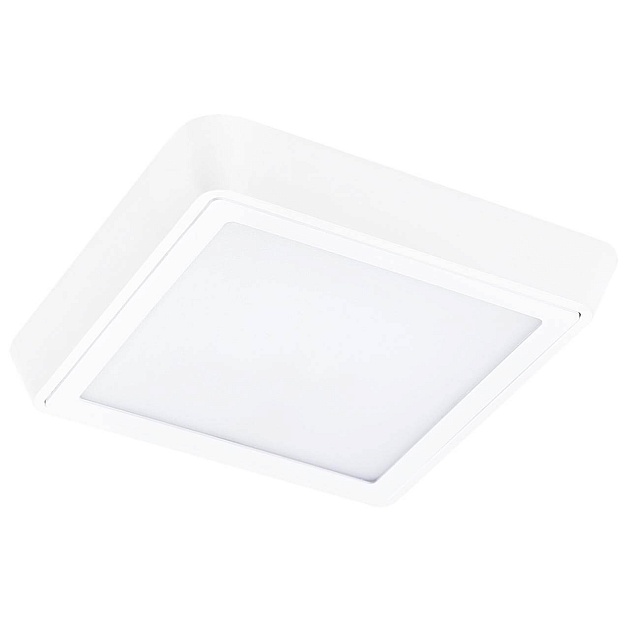 Потолочный светодиодный светильник Lightstar Urbano 216804 изображение 1 Потолочный светодиодный светильник Lightstar Urbano 216804 Фото № 1