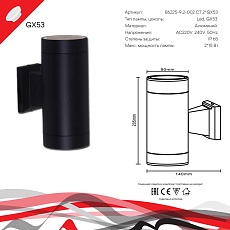 Уличный настенный светильник Reluce 86225-9.2-002CT 2*GX53 BK 1