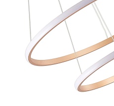 Подвесная светодиодная люстра Zortes RINGOLIGHT ZRS.33320.63C 1