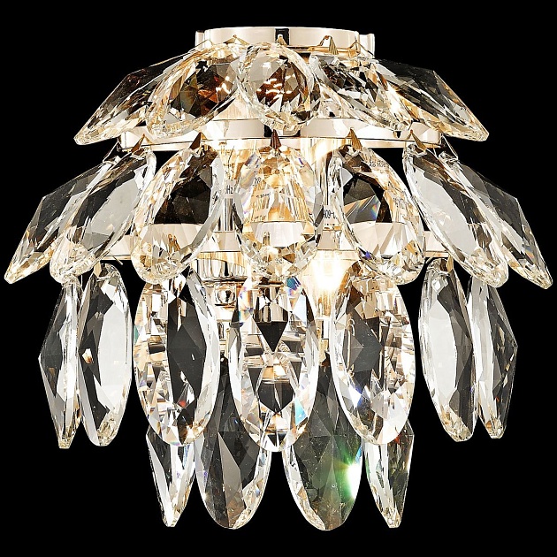 Настенный светильник Wertmark Ludgera WE113.02.301 Фото № 1