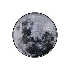 Настенно потолочный светодиодный светильник Escada Planet 605/S LED Moon 3