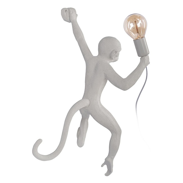 Настенный светильник Loft IT Monkey 10314W/A Фото № 4