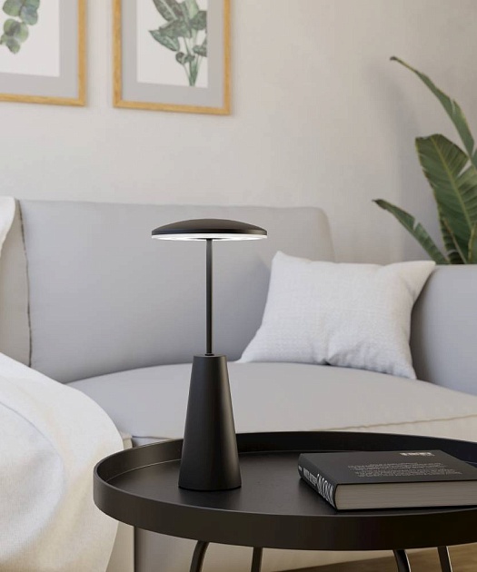 Уличный светодиодный светильник Eglo Piccola 900925 Фото № 10