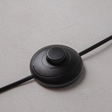 Торшер Maytoni Ray Z012FL-L18B3K 2