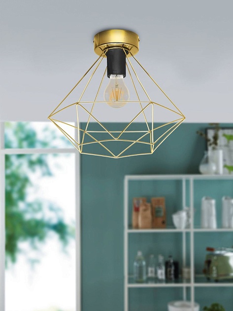 Потолочный светильник Eglo Tarbes 43678 Фото № 2