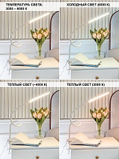 Настольная светодиодная лампа на струбцине Lucia Fleksa PRO L575 4606400056058 5