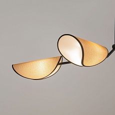 Подвесная люстра Maytoni Organic MOD225PL-04B 3