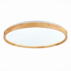 Потолочный сетодиодный светильник Evoluce Delia SLE201382-01 1