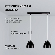 Подвесной светильник Apeyron 16-63 5