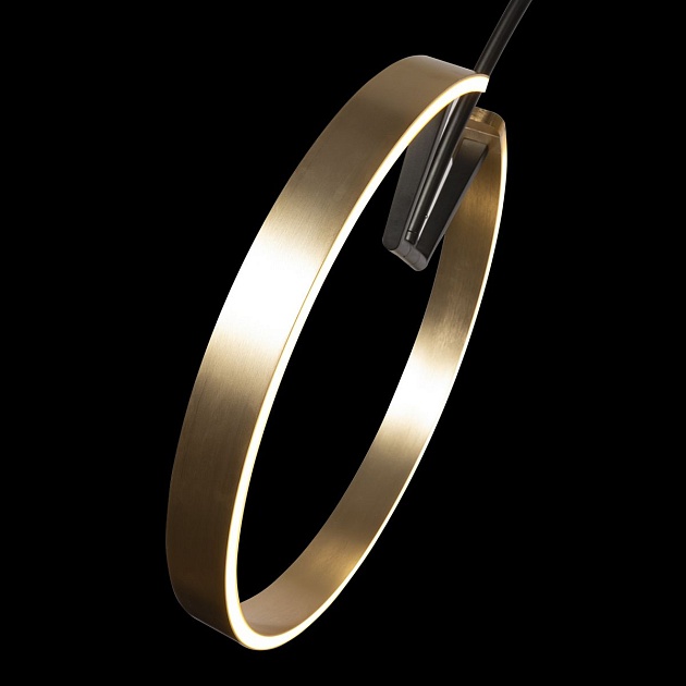 Торшер Loft IT Ring 10027 изображение 6 Торшер Loft IT Ring 10027 Фото № 6