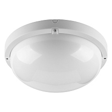 Накладной светодиодный светильник WOLTA ДПП01-18-001-6К