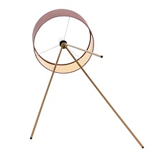 Торшер Lumion Moderni Aviola 8076/1F 4