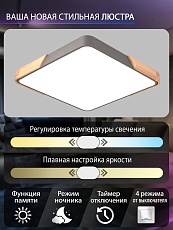 Потолочный светодиодный светильник Natali Kovaltseva LED LAMPS 81413 1