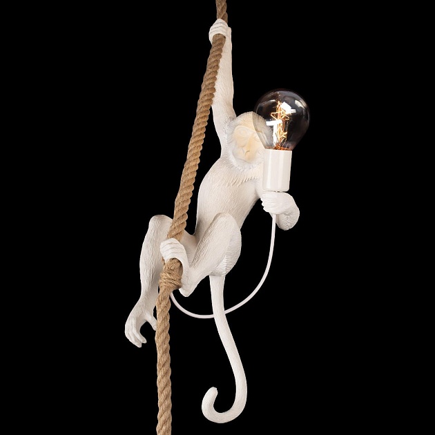 Подвесной светильник Loft IT Monkey 10314P изображение 6 Подвесной светильник Loft IT Monkey 10314P Фото № 6