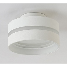 Потолочный светильник Ambrella light TN5419 3