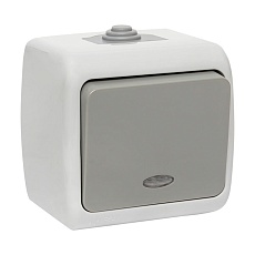 Мурманск Выключатель 1 -клавишный с индикатором 10А IP54 серый EKF EFV10-121-30-54