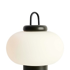 Настольная лампа Freya Take FR6175TL-L10B 4