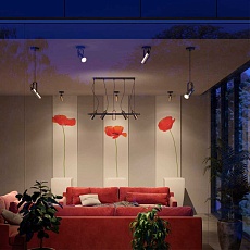 Спот Lumion Moderni Claire 3714/1W 1