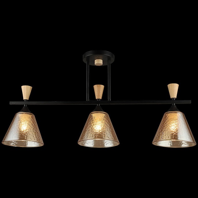 Спот Reluce 04864-0.3-03 BK+WOOD Фото № 4