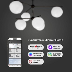 Потолочная люстра Eurosvet Marbella 60147/6 черный Smart 2