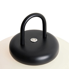 Настольная лампа Freya Take FR6175TL-L10B 3