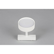 Трековый светильник Aployt Magnetic track 48 APL.0118.10.09 2