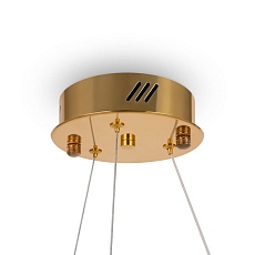 Подвесной светодиодный светильник Freya Tier FR5257PL-L17G 5