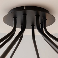 Потолочная люстра Maytoni Vigo MOD620CL-16B 2