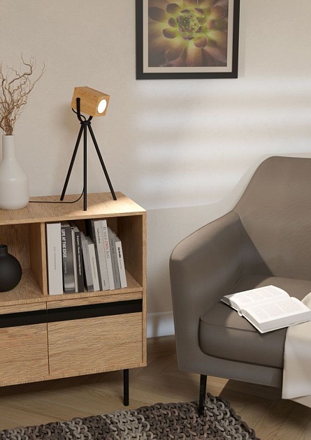 Настольная лампа Eglo Ayles 43749 Фото № 4