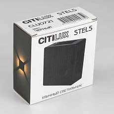 Уличный настенный светильник Citilux CLU0721 4