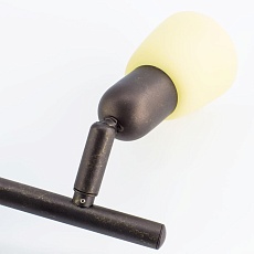 Спот Citilux Ронда CL506524 4