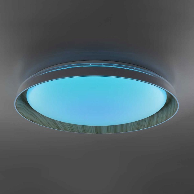 Потолочный светодиодный светильник Citilux Mega CL752452G Фото № 6