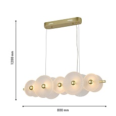 Подвесная светодиодная люстра F-Promo Arctium 4605-5P 1