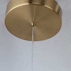 Подвесная светодиодная люстра F-Promo Chantra 4088-5P 5