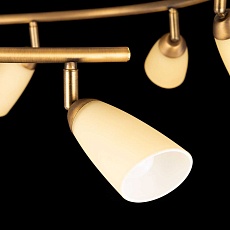 Спот Citilux Белла CL501163 3