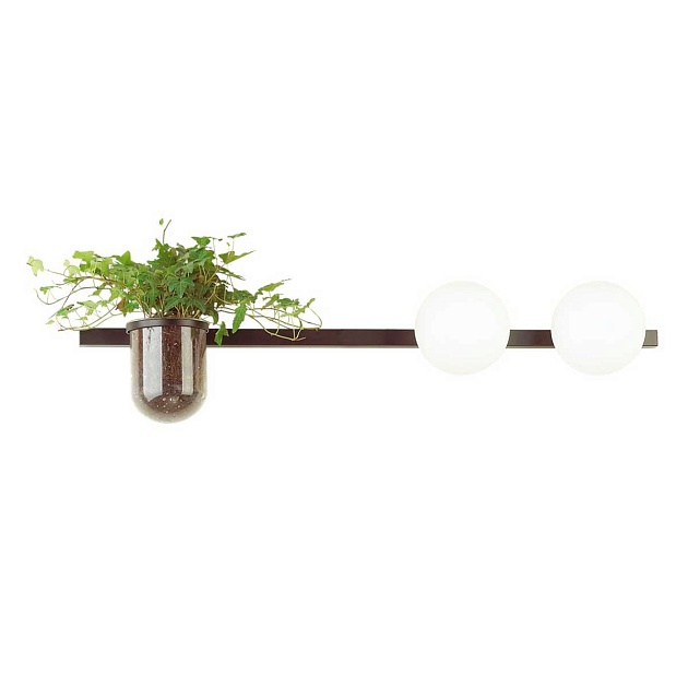 Настенный светильник Odeon Light Walli Flower 4681/2W изображение 1 Настенный светильник Odeon Light Walli Flower 4681/2W Фото № 1